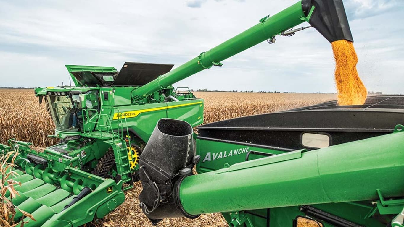 Grain Harvest Weight Sharing 